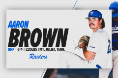 20-Player-Graphic-Brown